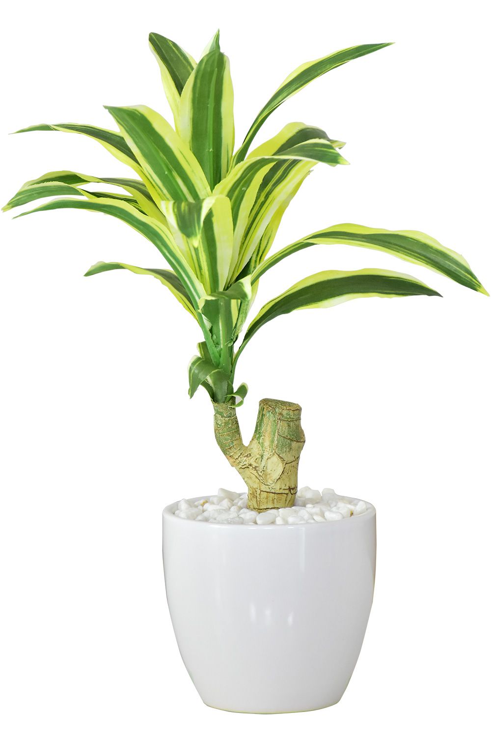 DORIS（ドリス） 人工植物 観葉植物 光触媒 造花 植物 フェイク