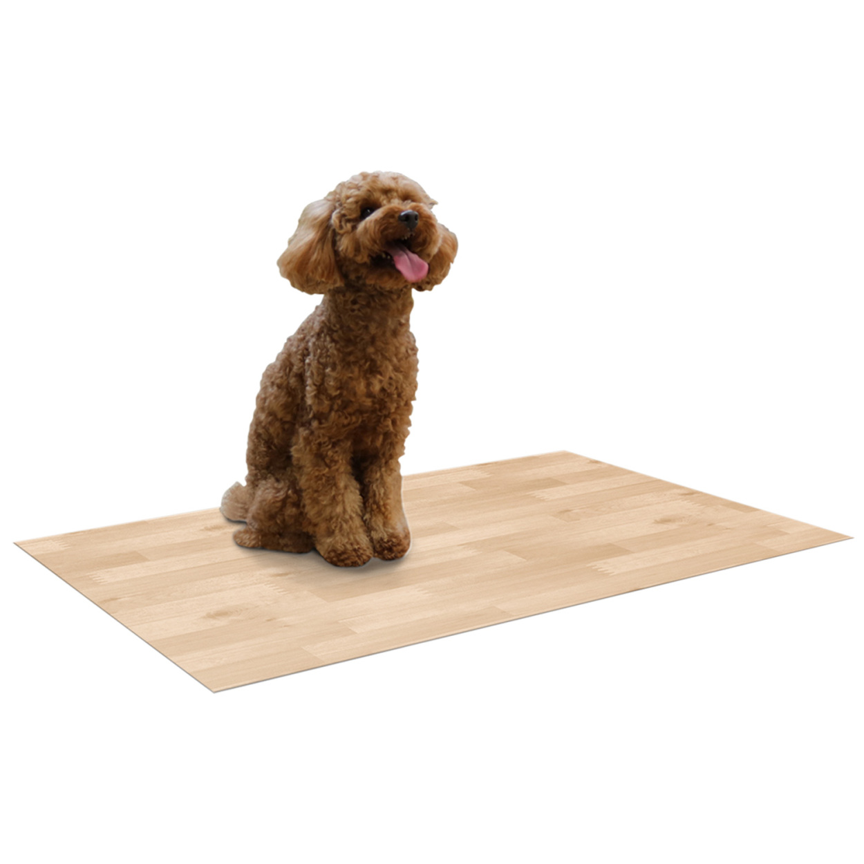 ペットシート ペットマット 防水 消臭 ペット 犬 猫 60×90 水洗いOK