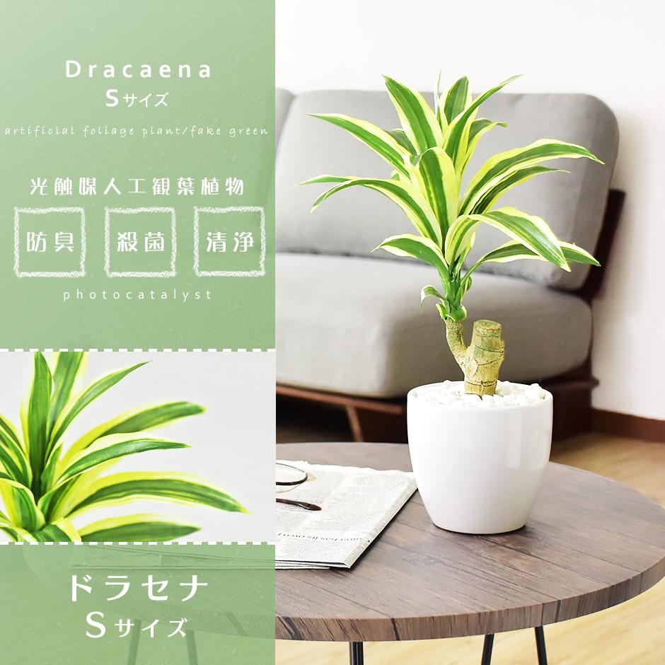 DORIS（ドリス） 人工植物 観葉植物 光触媒 造花 植物 フェイク