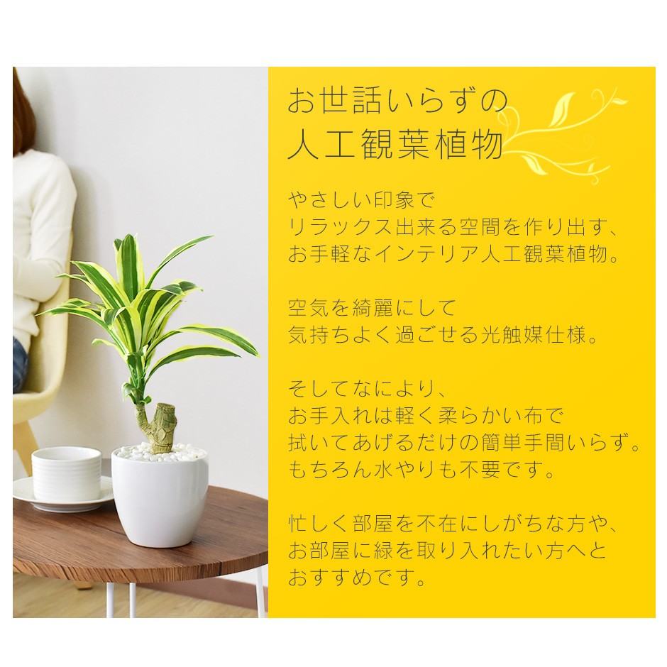 DORIS（ドリス） 人工植物 観葉植物 光触媒 造花 植物 フェイク