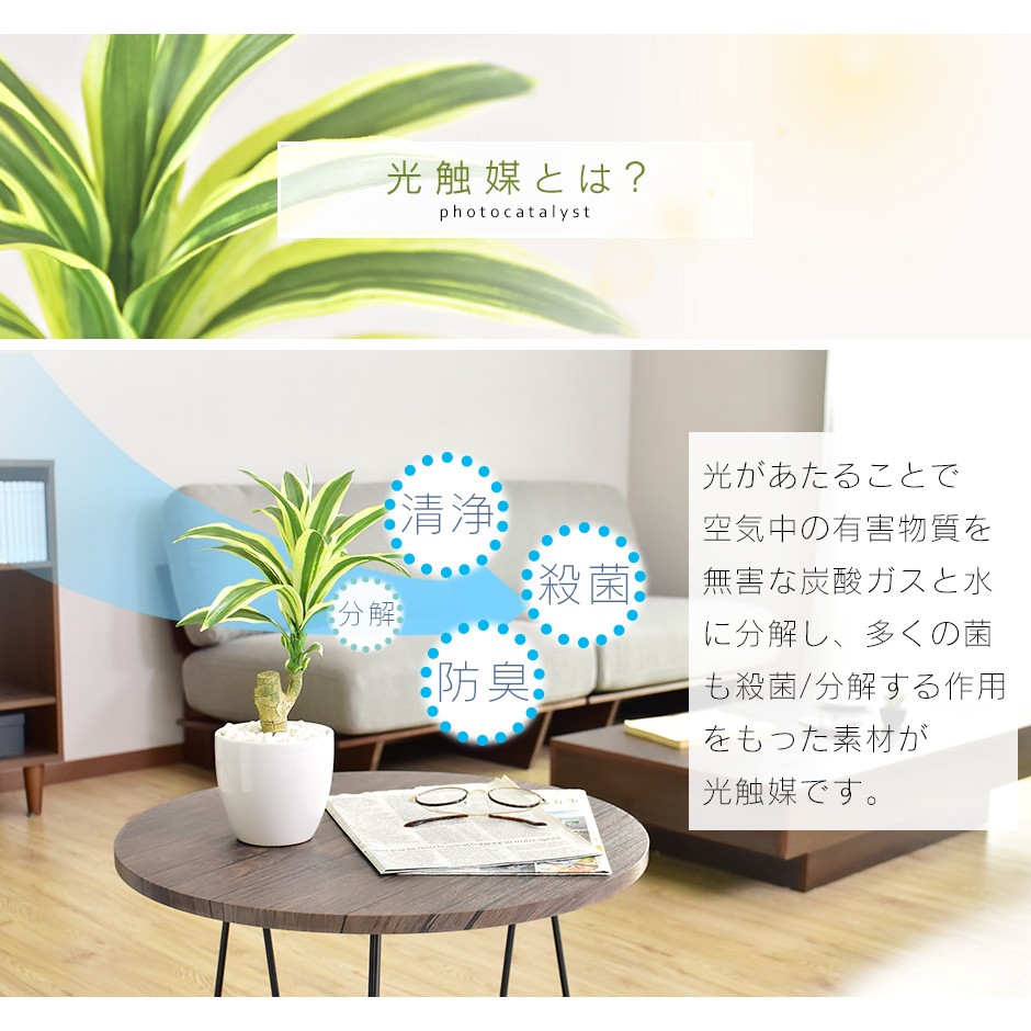 DORIS（ドリス） 人工植物 観葉植物 光触媒 造花 植物 フェイク