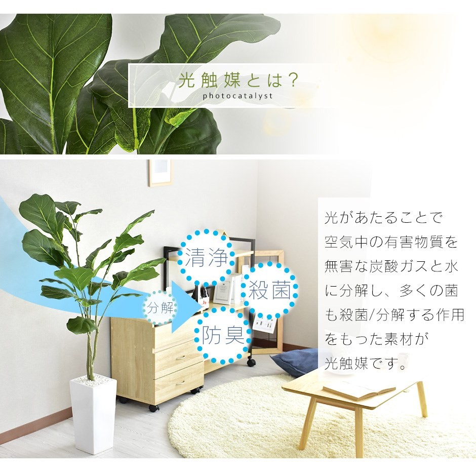 DORIS 観葉植物 人工観葉植物 フェイクグリーン