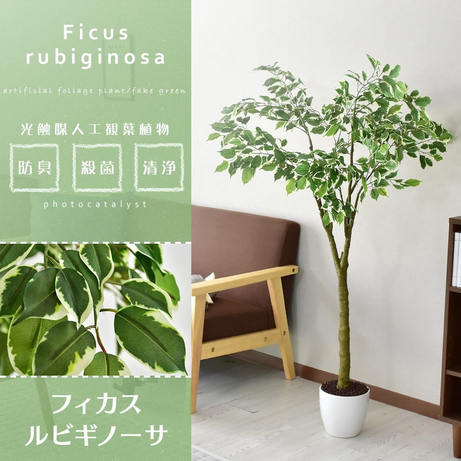 DORIS（ドリス） 人工植物 観葉植物 光触媒 造花 植物 フェイク