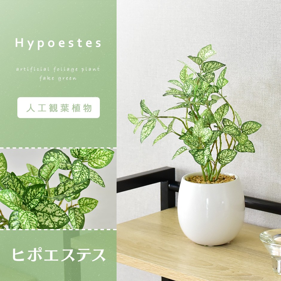 人工植物 観葉植物 DORIS 光触媒 造花 植物 フェイクグリーン 鉢付き