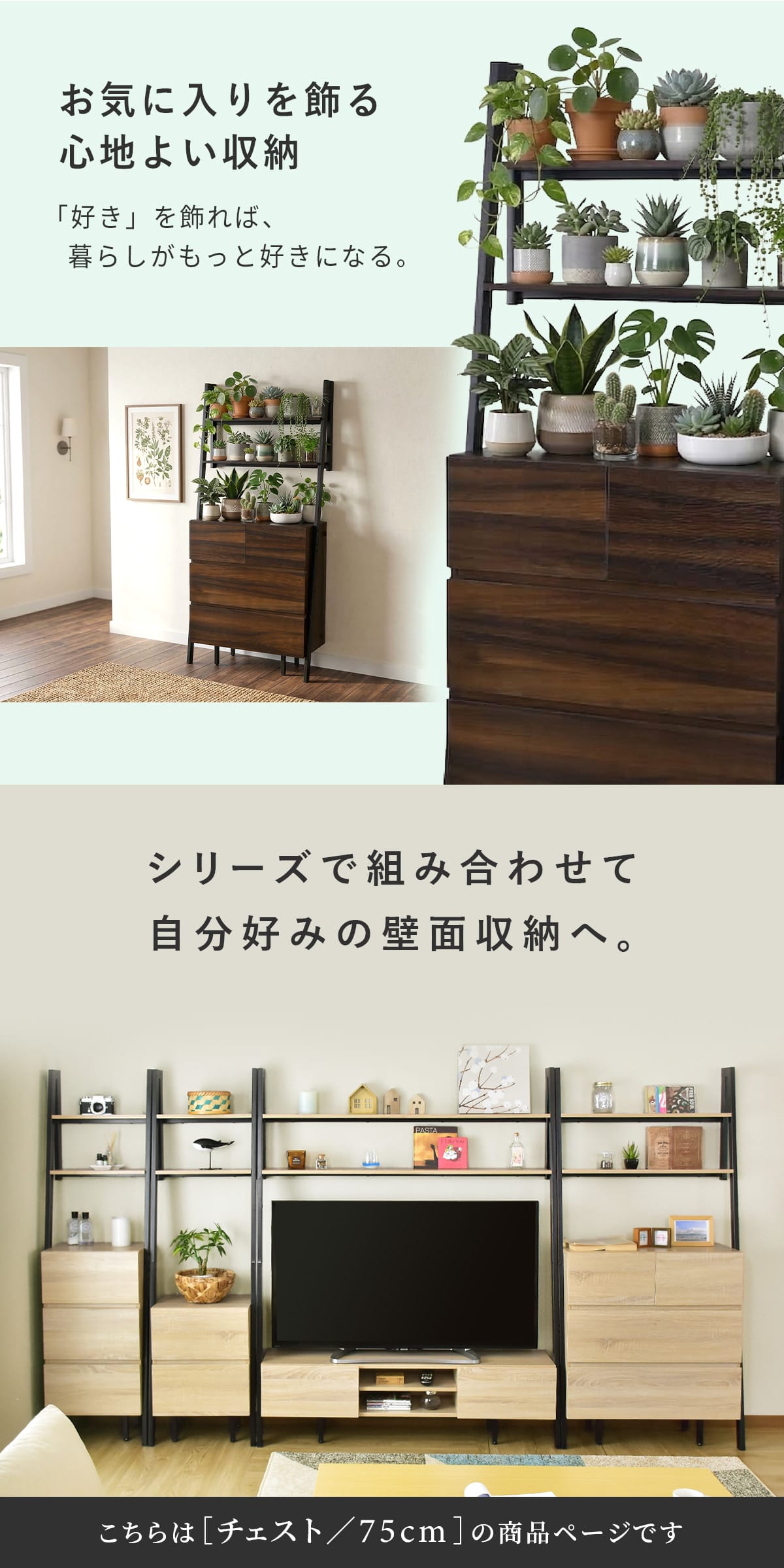 DORIS（ドリス） チェスト 壁面収納 壁寄せ オープンラック スリム