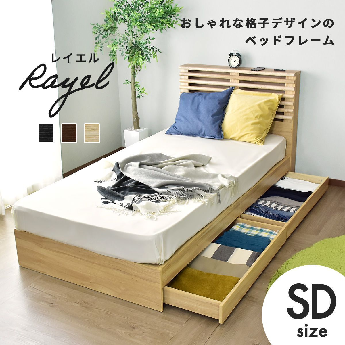rayel_sd_01.jpg