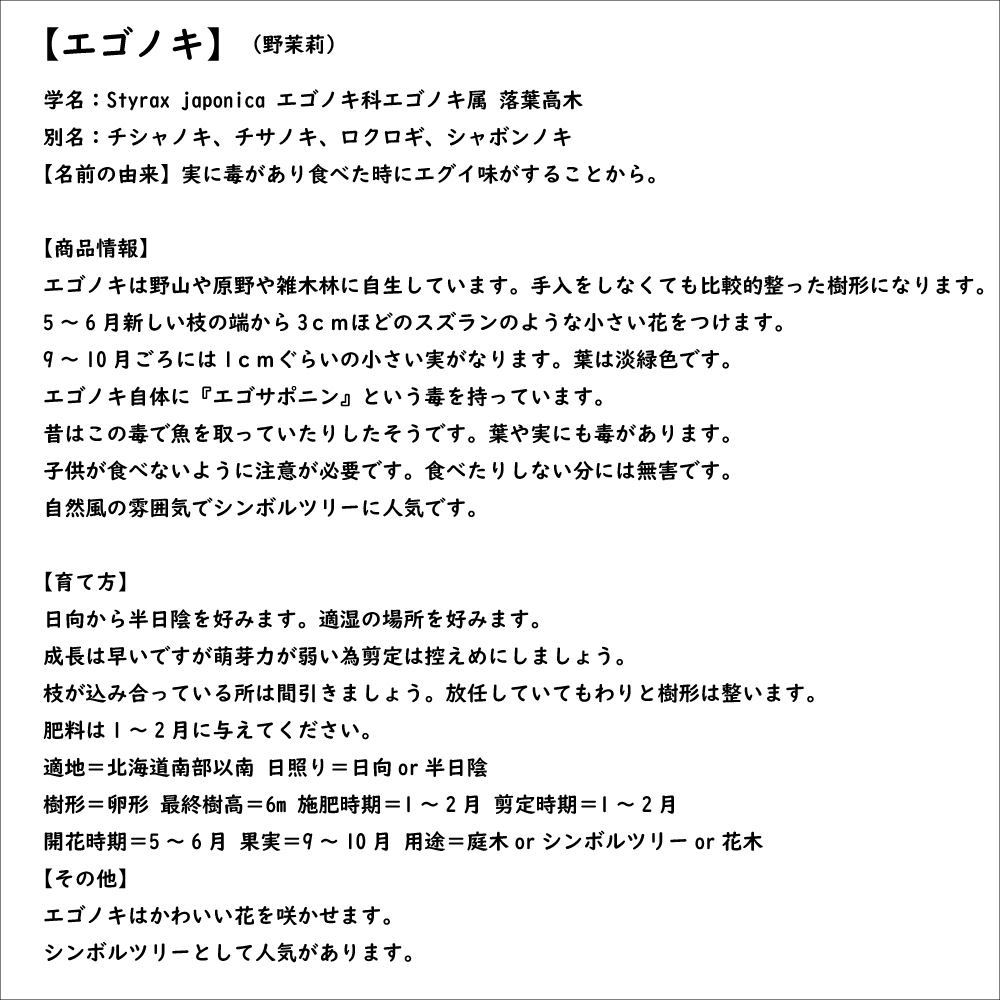 エゴノキ 0.3m 10.5cmポット 苗｜green-netbox｜08