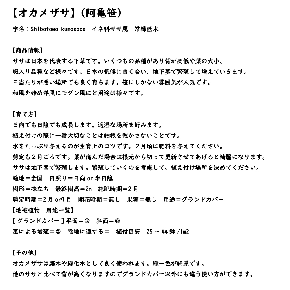 おかめ笹の商品一覧 通販 - Yahoo!ショッピング