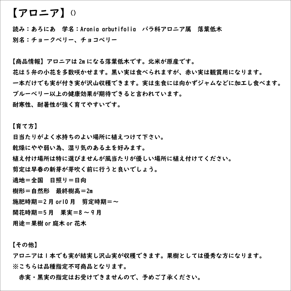 アロニア 0.8m 露地 2個 苗 花、ガーデニング グランドカバー、下草 アロニア 0.8m 露地 2個 苗 花、ガーデニング グランドカバー、下草