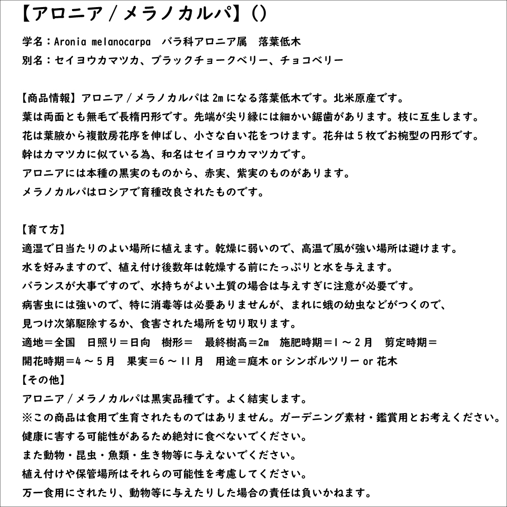 アロニア メラノカルパ 1.5m 露地 苗木 : 145215 : トオヤマグリーン