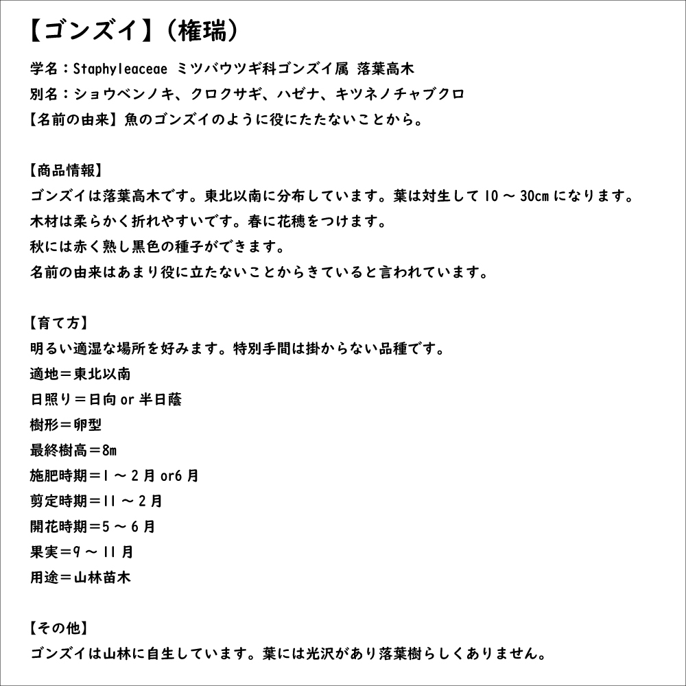 ゴンズイ 1.4m 15cmポット 10本セット 苗の画像