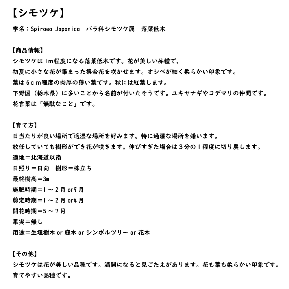 シモツケ 0.3m 10.5cmポット 苗｜green-netbox｜08