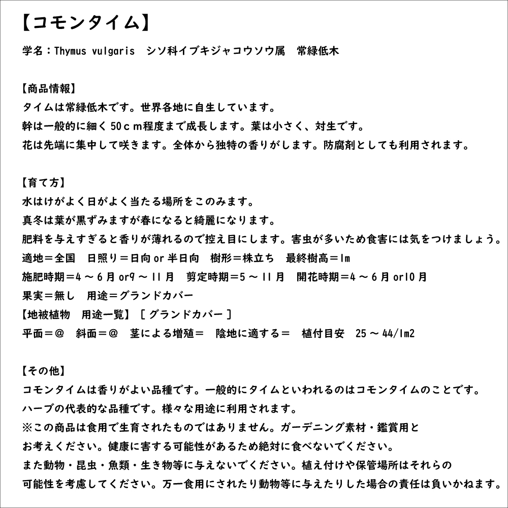 コモンタイム 9.0cmポット 苗 |  | 07