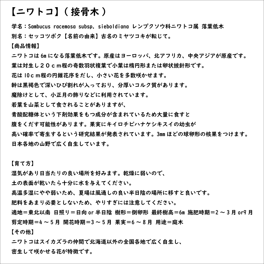 もみのきさ書籍 楽天市場】ビバリー 付箋 ふせん まるみの ときめくdot Lサイズ