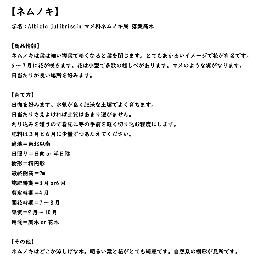 ネムノキ 0.5m 10.5cmポット 苗｜green-netbox｜08