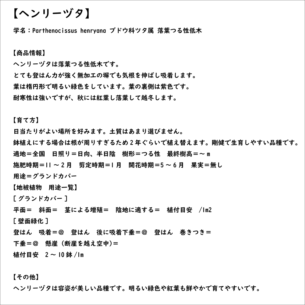 ヘンリーヅタ 10.5cmポット 15個 苗 : 6061019 : トオヤマグリーン - 通販 - Yahoo!ショッピング