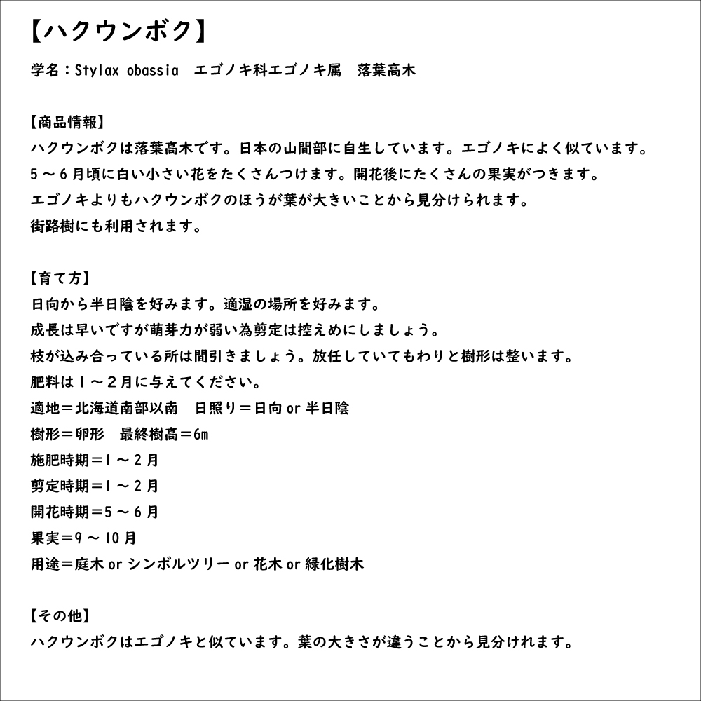 ハクウンボク 単木 1.7m 露地 苗木 VQL2610232449