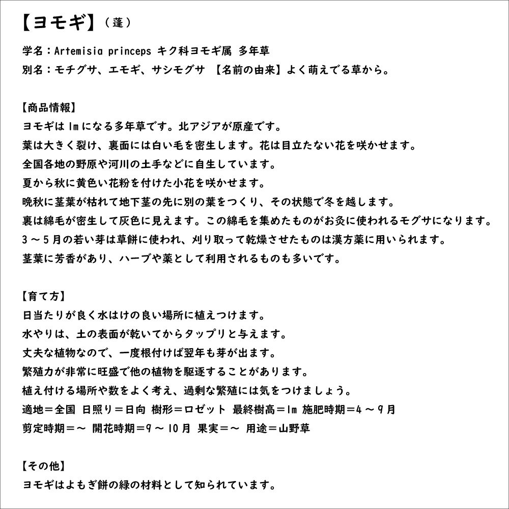 ヨモギ 9.0cmポット 50個 苗_7