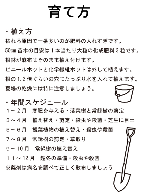 (新品,未開封) エゴノキ ピンクチャイム 単木 2.3m 露地 2本 苗木 【CEG7474951037】 (27324円)