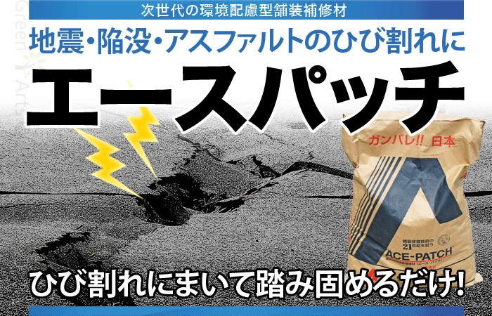 H2クラックメンテ 500g×2袋 博有 セメント系コンクリート用クラック補修材 コンクリート補修剤 補修材 モルタル ひび割れ 計量カップあり  :crack500-02:石材・防草シート・人工芝のGA - 通販 - Yahoo!ショッピング