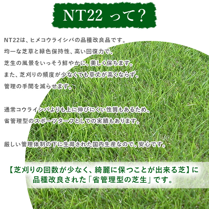 クーポン付 通常便 NITTOSEKKO 高級天然芝 NT22 ソッド 10平米分 天然芝 省管理 高麗芝 改良高麗芝 芝生 芝 品種改良 国産  :gatennnennshiba001:石材・防草シート・人工芝のGA - 通販 - Yahoo!ショッピング