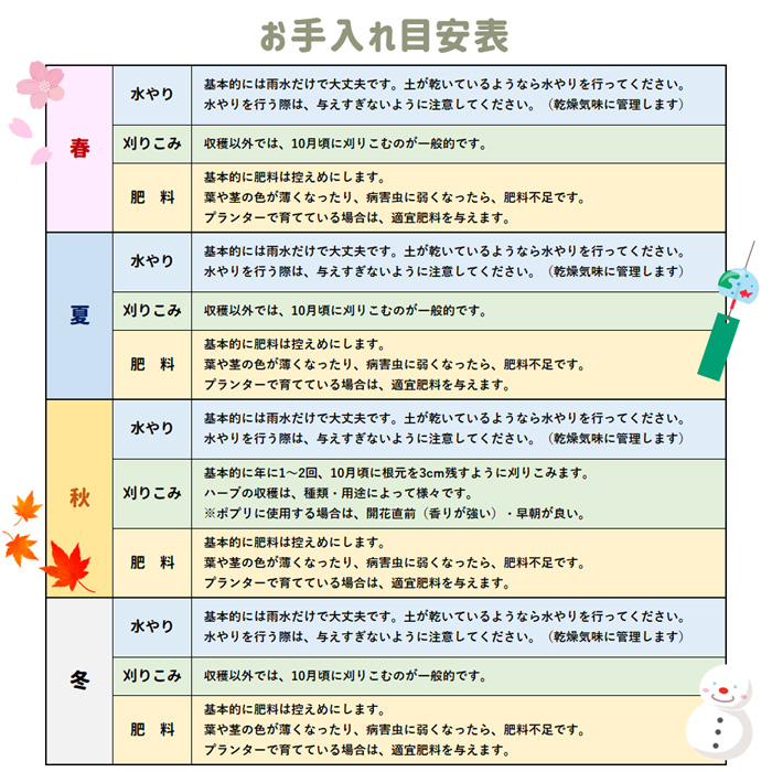 マットプランツ08