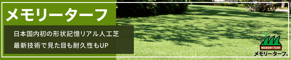 メモリーターフ