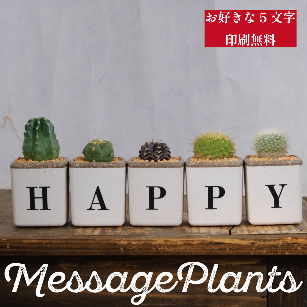 サボテン5個セット（HAPPY） : Green Factory - 通販 - Yahoo!ショッピング