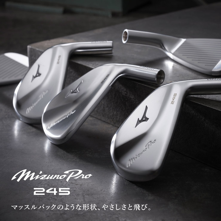 ミズノ Mizuno Pro 245 アイアン N.S.PRO MODUS3 TOUR 105 シャフト 単品[＃4、GW]