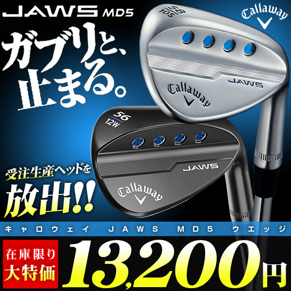 ミズノ Mizuno Pro 920 アイアン N.S.PRO 850GH NEO フレックス：S シャフト仕様 5本セット[＃6-P] :  mz23mp920i58ns : ゴルフレンジャー - 通販 - Yahoo!ショッピング