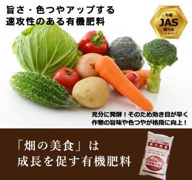 有機肥料 畑の美食 20kg 5袋セ ット 有機JAS適合 発酵肥料 オ