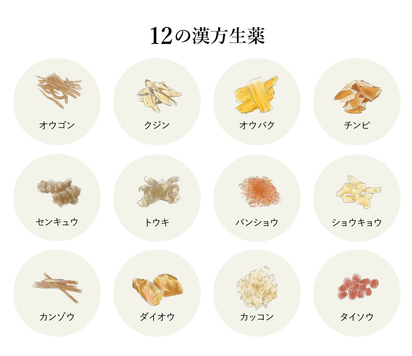 12の漢方生薬