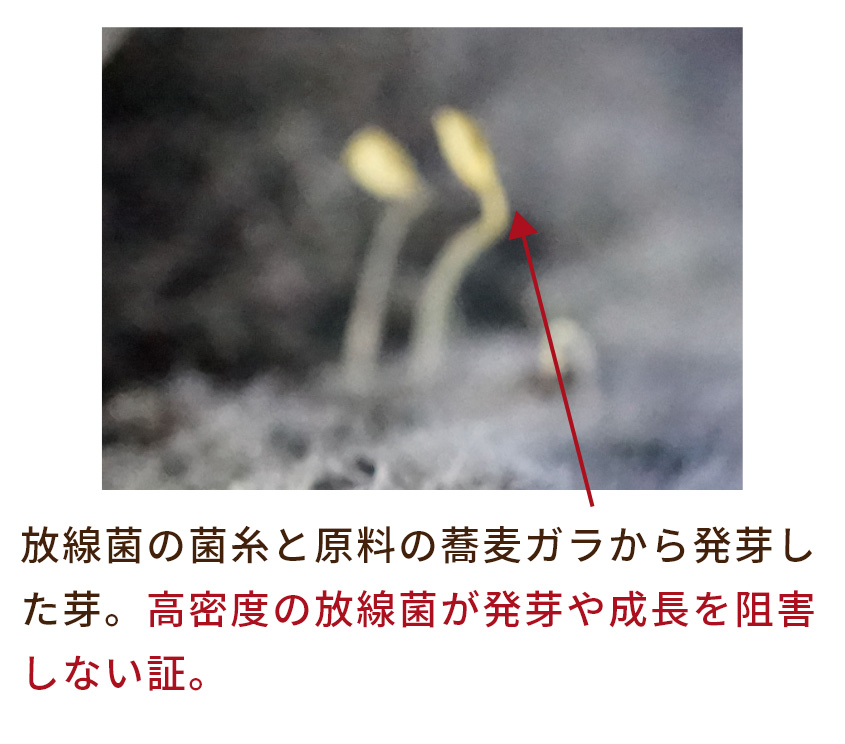 Dr.放線菌（ドクターホウセンキン）7kg 3袋セット 放線菌 高濃度