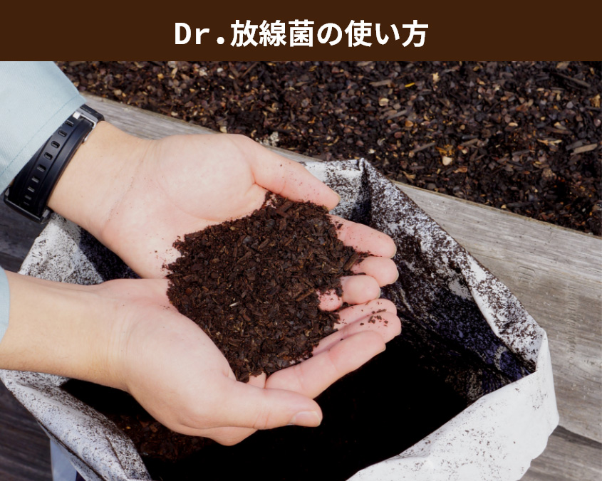 Dr.放線菌の使い方