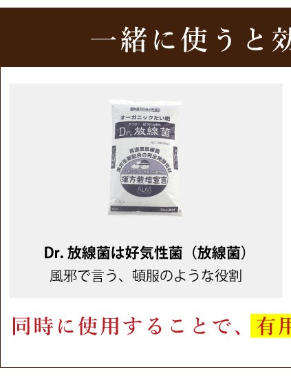一緒に使うと効果的です Dr放線菌