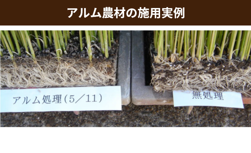 アルム農材の施用実例