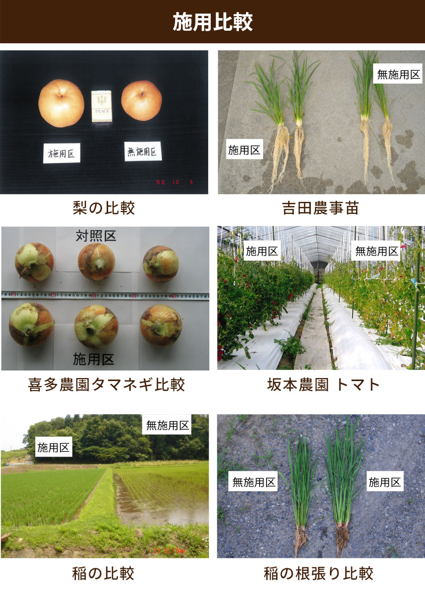 施用比較