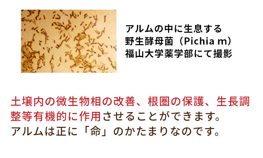 病害虫の阻害、土壌内の微生物相の改善などに作用させることができます
