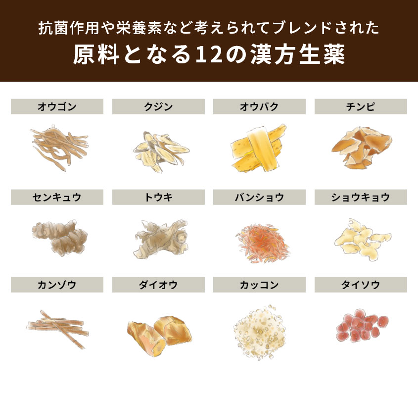 抗菌作用や栄養素など考えられてブレンドされた12の漢方生薬