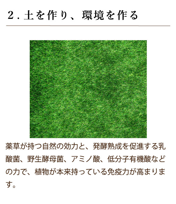 アルム顆粒