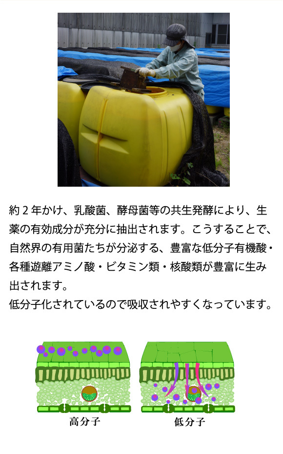 アルム顆粒