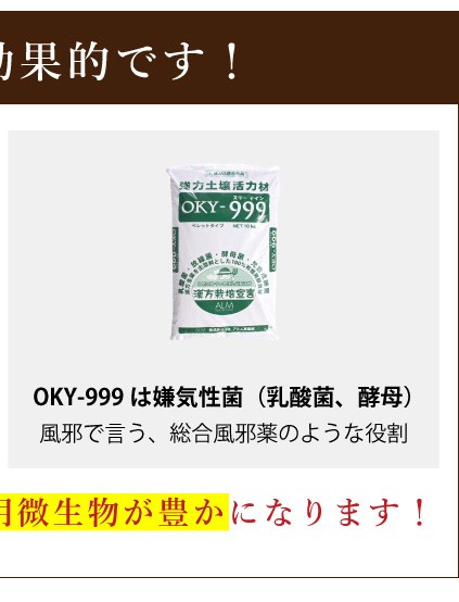 OKY‐999 10kg「有機JAS適合」 連作障害 乳酸菌 放線菌 酵母菌 土づくり