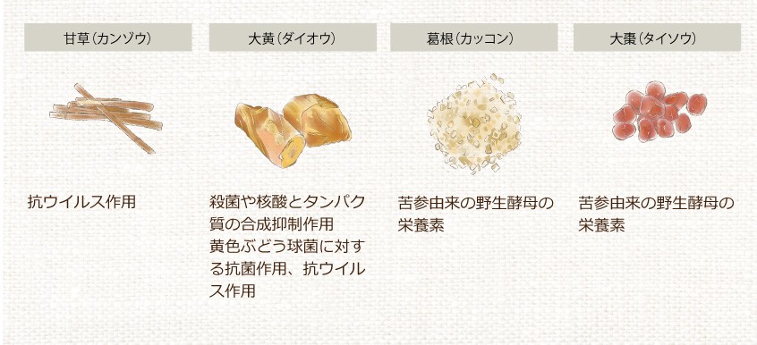 アルム凛 500ml 有機JAS適合 漢方高濃度保護材 発根促進剤 活性剤 植物