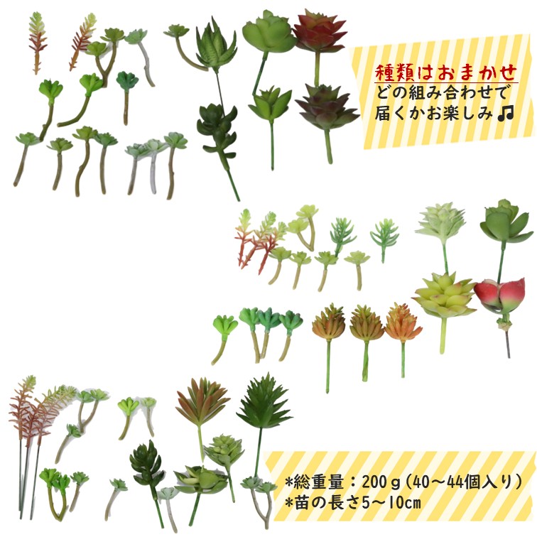 造花 フェイクグリーン 多肉植物 カット苗 『たにくごっこ