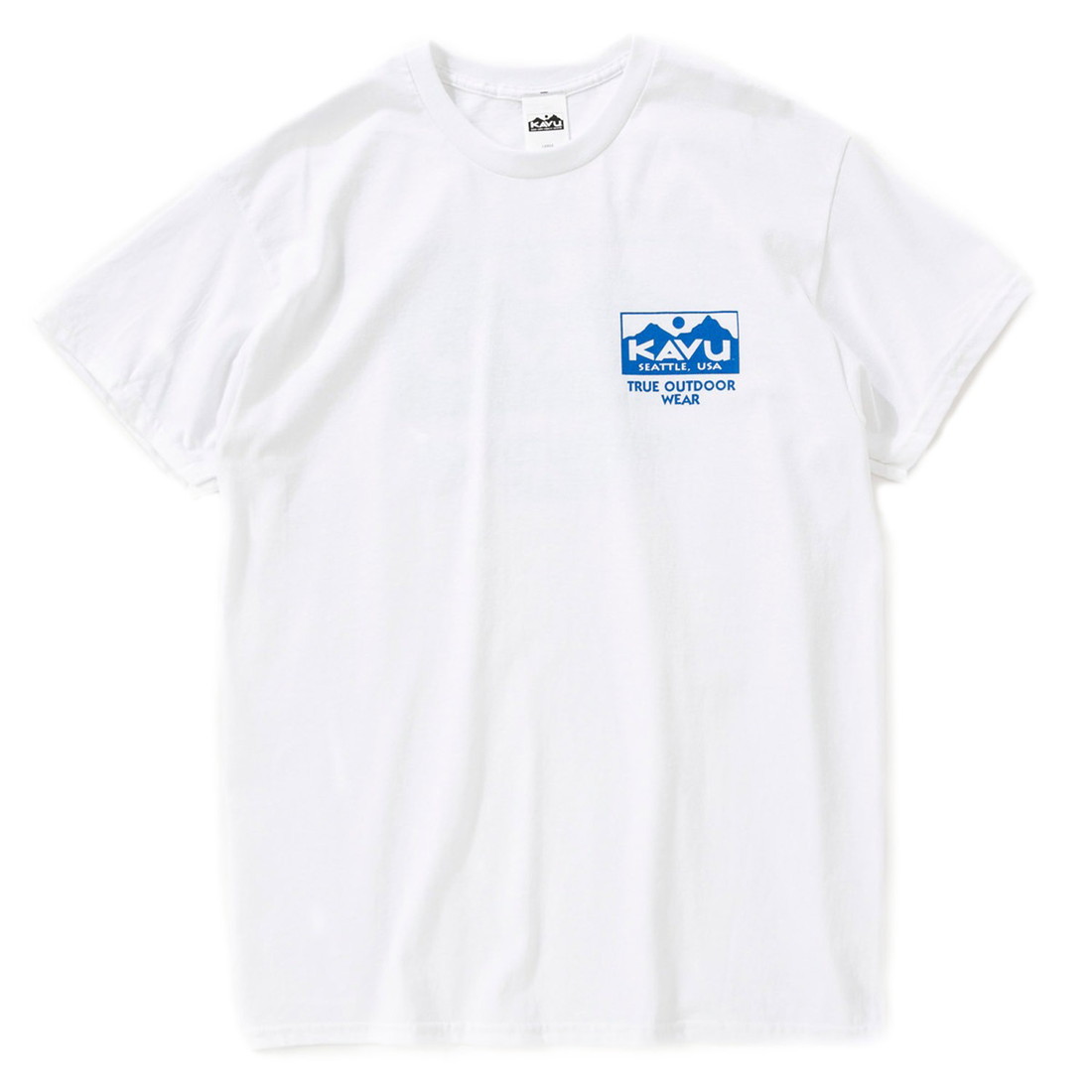 カブー トゥルーロゴ T 23 ティーシャツ ロゴT   国内正規品｜greenhinata｜02