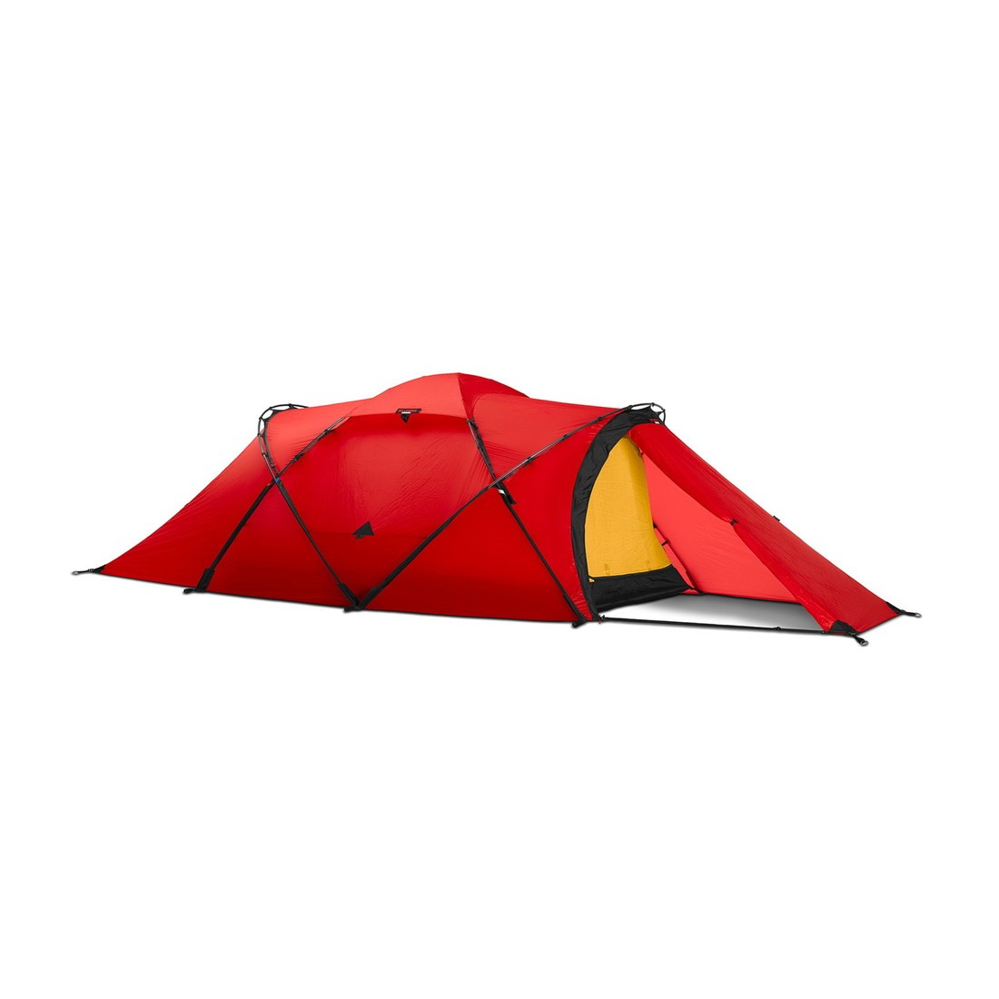 HILLEBERG（ヒルバーグ） タラ 2人用ドームテント 国内正規品 