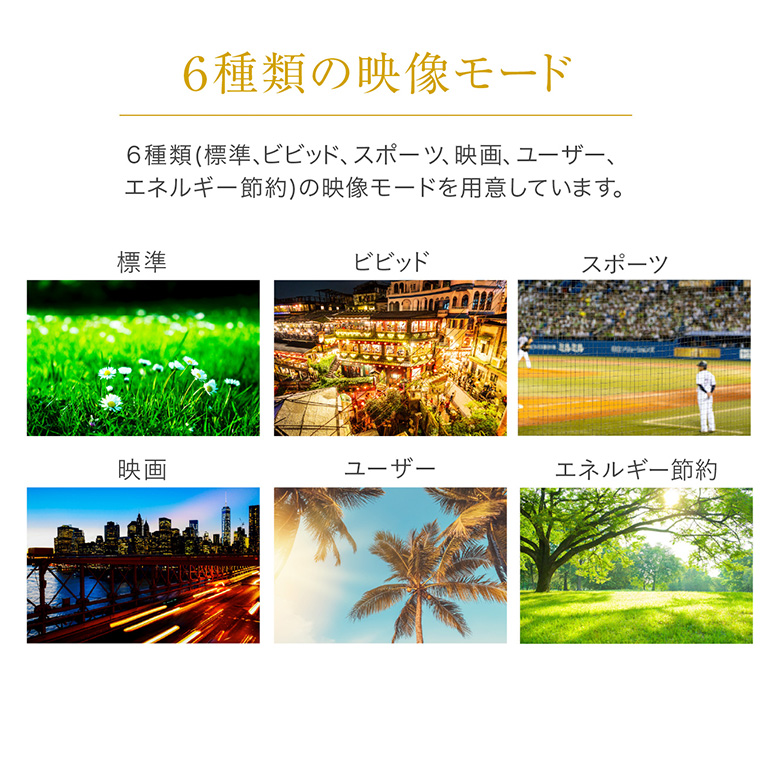 GREEN HOUSE(パソコン) 32インチ テレビ チューナーレス GREEN HOUSE(パソコン) 32インチ テレビ チューナーレス