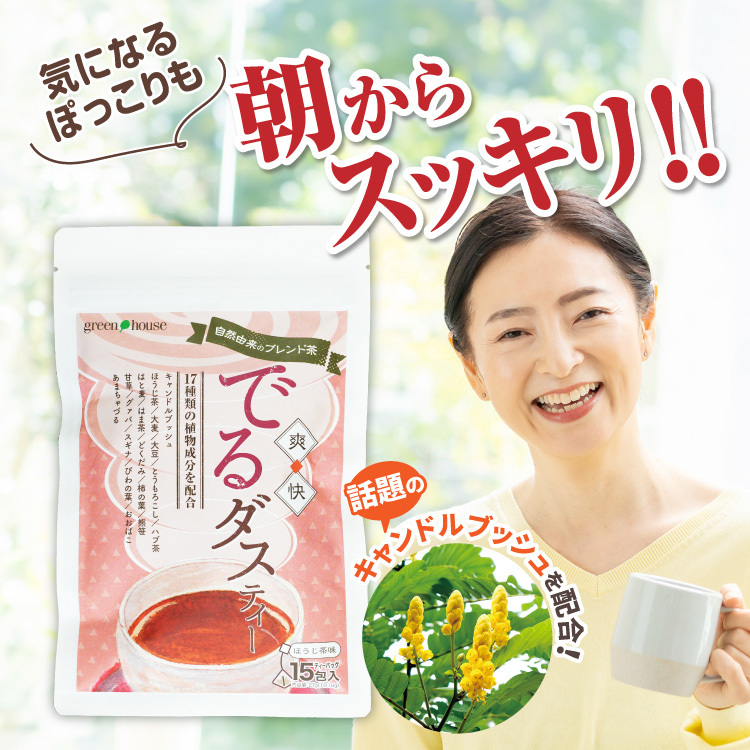 【とも様】専用・3点まとめ買い（1/2）①茶300ｇ×2袋≪同時購入割特価≫ 送料無料 5%OFF お茶 どっさり 爽快でるダスティー 3袋 1袋あたり1.8g