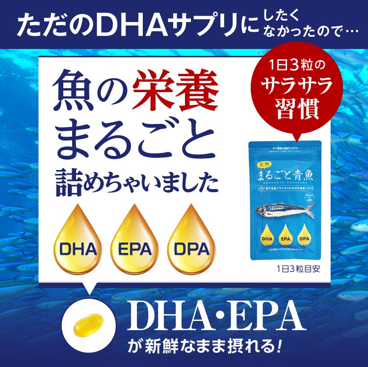 DHA EPA オメガ3 まるごと青魚 2袋 10%OFF 送料無料 イワシ 生オイル