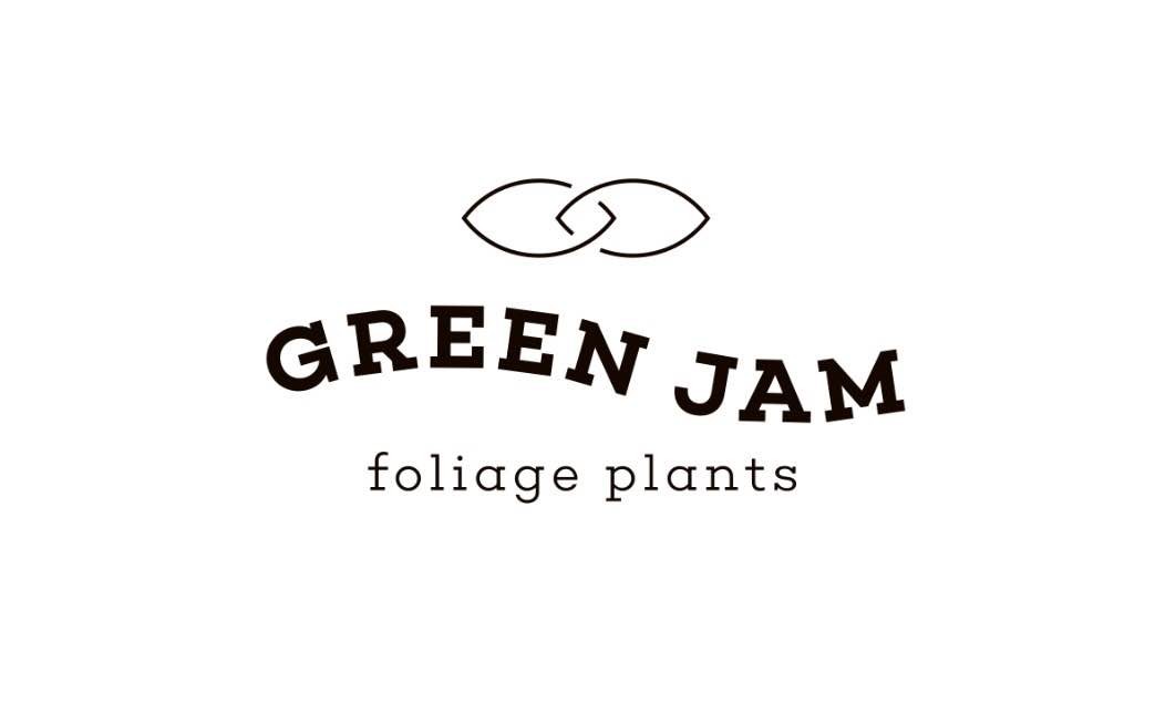 GREEN JAM foliageplant